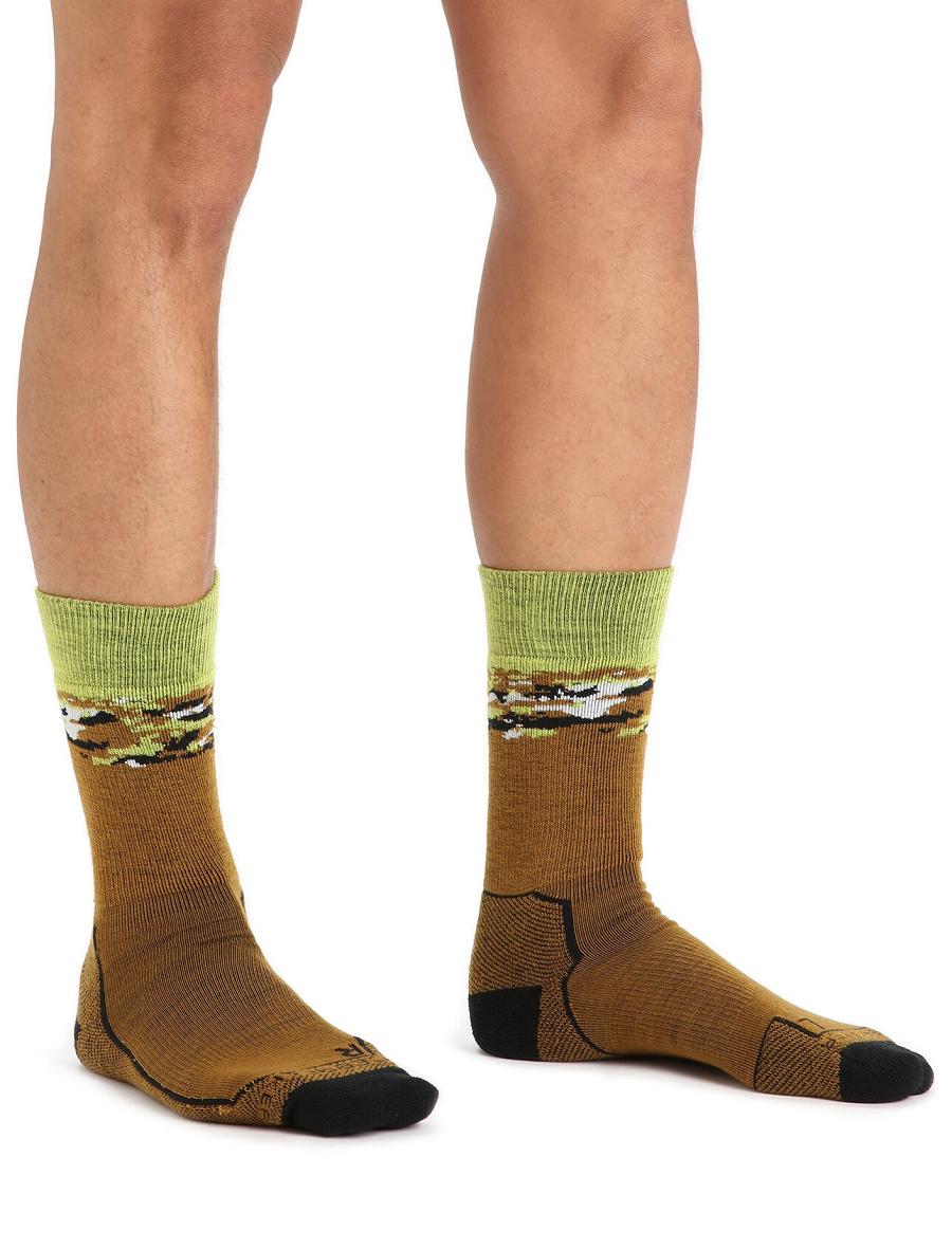 Men's Icebreaker Merino Hike+ Medium Crew Sedimentary Socks Clove / Black | CA 1944JPQJ